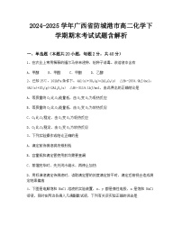 2024-2025学年广西省防城港市高二化学下学期期末考试试题含解析