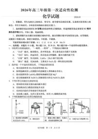 青岛市2026年高三下学期3月第一次适应性检测 化学试卷及答案