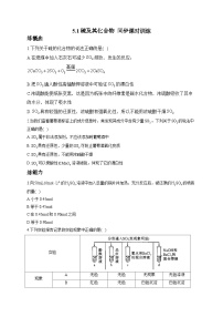 高中人教版 (2019)硫及其化合物测试题