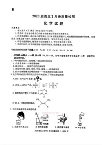 2026届浙江高三下学期3月化学试题及答案