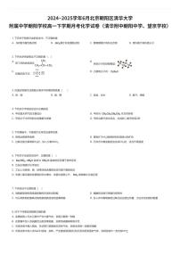2024~2025学年6月北京朝阳区清华大学附属中学朝阳学校高一下学期月考化学试卷（清华附中朝阳中学、望京学校）（有答案解析）