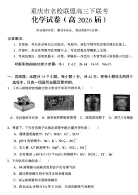 重庆名校联盟2026届高三下学期第一次联考化学试卷（含答案）