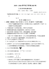 湖北省荆州市沙市中学2025-2026学年高一下学期3月月考化学试题（Word版附答案）