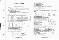 四川省金太阳2025届高三上学期12月联考（25-289C）化学试卷（含答案）