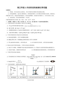 山东省山东师范大学附属中学2026届高三下学期3月阶段性检测化学试卷