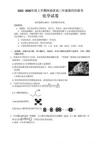 河南省金太阳2025-2026学年高三上学期第四次联考化学试卷（含答案）