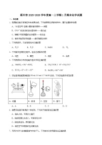 广西梧州市2025-2026学年高一上学期期末抽样检测化学试卷（Word版附答案）