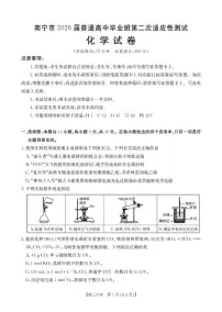 广西南宁2026届高三下学期3月第二次适应性测试化学试题+答案