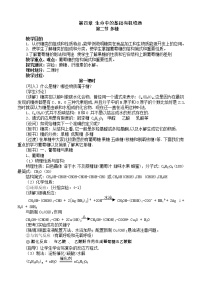 化学人教版 (新课标)第二节 糖类教案