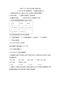 高中化学人教版 (2019)必修 第一册第二章 海水中的重要元素——钠和氯综合与测试优秀巩固练习