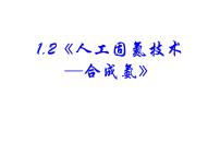 人教版 (新课标)选修2 化学与技术课题2 人工固氮技术——合成氨课堂教学课件ppt