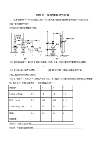 2021高考化学专题练习  专题13  化学实验探究综合（解析版）