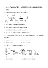 2021春学年度第二学期高一化学苏教版（2019）必修第二册期末测试卷