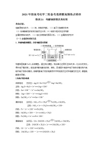 2021年新高考化学二轮备考选择题高频热点专项突破--专项突破21 电解池原理及其应用