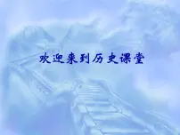 高中人教版 (新课标)第23课 新中国初期的外交图文ppt课件