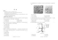 福建省漳州市2020届高三毕业班第一次教学质量检测历史试卷（PDF版）