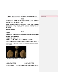 2022天津河北区高三下学期一模考试历史试题含答案