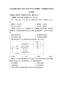 2022北京市北京师大附中高一下学期期末考试历史试卷含答案