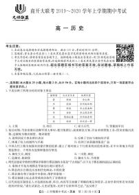 2020河南省九师联盟商开大联考高一上学期期中考试历史试题PDF版含答案