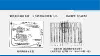 历史人教统编版第17课 中国古代的户籍制度与社会治理说课课件ppt