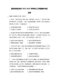 安徽省合肥市肥东县综合高中2022-2023学年高三上学期期中考试历史试题(含答案)