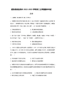 安徽省合肥市肥东县综合高中2022-2023学年高二上学期期中考试历史试题(含答案)