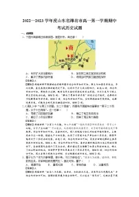 2022—2023学年度山东省潍坊市高一第一学期期中考试历史试题(解析版)