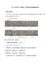 2023上海长宁区高三上学期教学质量调研(一模)历史试题含解析