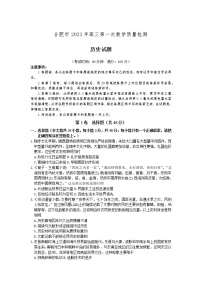 2023合肥高三第一次教学质量检测历史试题含答案