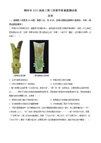 2023郴州高三下学期三模历史试题含解析