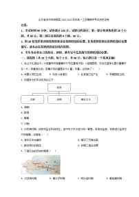 2022-2023学年山东省滨州市阳信县高一上学期期中考试历史试题(Word版)