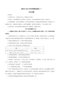 2023年咸阳市高三一模历史试题含答案解析