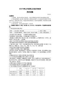 山东省青岛市2023届高三下学期第三次适应性检测（三模）历史+Word版含答案