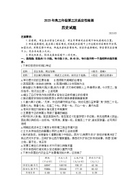 山东省青岛市2023届高三历史下学期第三次适应性检测（三模）（Word版附答案）