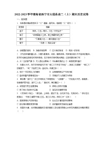 2022-2023学年青海省西宁市大通县高二（上）期末历史试卷（含解析）