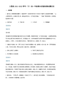 2021-2022学年陕西省渭南市大荔县高一下学期期末质量检测历史试题含解析