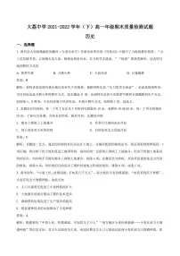 大荔县大荔中学2021-2022学年高一下学期期末质量检测历史试卷（含解析）