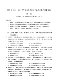 广东省肇庆市2022-2023学年高二下学期期末教学质量检测历史试卷