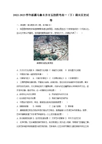 2022-2023学年新疆乌鲁木齐市五校联考高一（下）期末历史试卷（含解析）