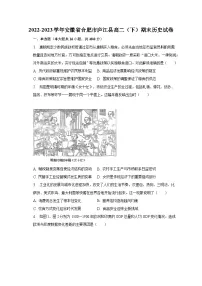 2022-2023学年安徽省合肥市庐江县高二(下)期末历史试卷(含解析)