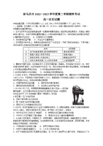 河南省驻马店市2022-2023学年高一下学期期末考试历史试题