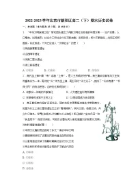 2022-2023学年北京市朝阳区高二(下)期末历史试卷(含解析)