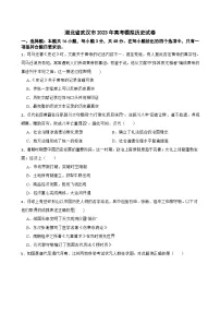 湖北省武汉市2023年高考模拟历史试卷 (含答案)