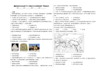 人教统编版(必修)中外历史纲要(下)第1课 文明的产生与早期发展巩固练习