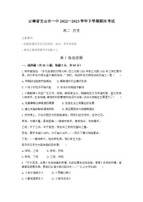 云南省文山市第一中学2022—2023学年高二下学期期末考试历史试题（含答案）