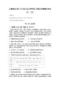 云南省昌宁县第一中学2022-2023学年高二年级下学期期末考试历史试题