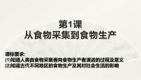 高中历史人教统编版选择性必修2 经济与社会生活第1课 从食物采集到食物生产优秀ppt课件