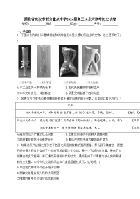 湖北省武汉市部分重点中学2024届高三10月大联考历史试卷(含答案)