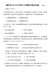 山东省淄博市临淄中学2023-2024学年高二上学期期中训练历史试题（含答案）