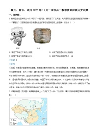 浙江省衢州、丽水、湖州三地市2024高三上学期11月月考历史试题（Word版附解析）